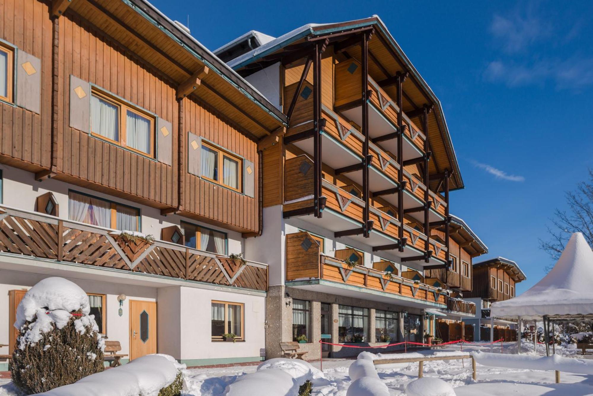 Ferienalm Panorama Schladming